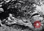 Immagine di Addestramento di Guerra nella Giungla Canungra Australia, 1943, secondo 61 filmato di repertorio 65675038653