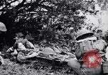 Immagine di Addestramento di Guerra nella Giungla Canungra Australia, 1943, secondo 62 filmato di repertorio 65675038653