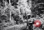 Standbild Jungle warfare Training Canungra Australien, 1943, aus Sekunde 1 historischem Filmmaterial Videoclip 65675038654