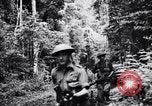 Standbild Jungle warfare Training Canungra Australien, 1943, aus Sekunde 5 historischem Filmmaterial Videoclip 65675038654