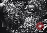 Standbild Jungle warfare Training Canungra Australien, 1943, aus Sekunde 8 historischem Filmmaterial Videoclip 65675038654