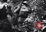 Standbild Jungle warfare Training Canungra Australien, 1943, aus Sekunde 10 historischem Filmmaterial Videoclip 65675038654