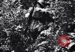 Standbild Jungle warfare Training Canungra Australien, 1943, aus Sekunde 13 historischem Filmmaterial Videoclip 65675038654