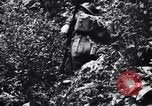 Standbild Jungle warfare Training Canungra Australien, 1943, aus Sekunde 14 historischem Filmmaterial Videoclip 65675038654