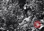 Standbild Jungle warfare Training Canungra Australien, 1943, aus Sekunde 16 historischem Filmmaterial Videoclip 65675038654