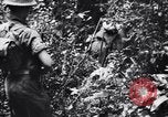 Standbild Jungle warfare Training Canungra Australien, 1943, aus Sekunde 17 historischem Filmmaterial Videoclip 65675038654