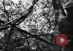 Standbild Jungle warfare Training Canungra Australien, 1943, aus Sekunde 22 historischem Filmmaterial Videoclip 65675038654