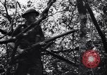 Standbild Jungle warfare Training Canungra Australien, 1943, aus Sekunde 23 historischem Filmmaterial Videoclip 65675038654
