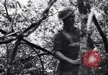 Standbild Jungle warfare Training Canungra Australien, 1943, aus Sekunde 26 historischem Filmmaterial Videoclip 65675038654