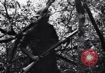 Standbild Jungle warfare Training Canungra Australien, 1943, aus Sekunde 27 historischem Filmmaterial Videoclip 65675038654