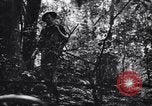 Standbild Jungle warfare Training Canungra Australien, 1943, aus Sekunde 30 historischem Filmmaterial Videoclip 65675038654