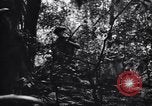 Standbild Jungle warfare Training Canungra Australien, 1943, aus Sekunde 32 historischem Filmmaterial Videoclip 65675038654