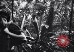 Standbild Jungle warfare Training Canungra Australien, 1943, aus Sekunde 35 historischem Filmmaterial Videoclip 65675038654