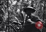 Standbild Jungle warfare Training Canungra Australien, 1943, aus Sekunde 38 historischem Filmmaterial Videoclip 65675038654