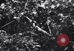 Standbild Jungle warfare Training Canungra Australien, 1943, aus Sekunde 43 historischem Filmmaterial Videoclip 65675038654
