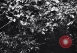 Standbild Jungle warfare Training Canungra Australien, 1943, aus Sekunde 44 historischem Filmmaterial Videoclip 65675038654