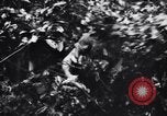 Standbild Jungle warfare Training Canungra Australien, 1943, aus Sekunde 46 historischem Filmmaterial Videoclip 65675038654