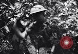 Standbild Jungle warfare Training Canungra Australien, 1943, aus Sekunde 47 historischem Filmmaterial Videoclip 65675038654