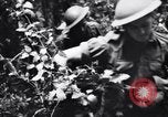 Standbild Jungle warfare Training Canungra Australien, 1943, aus Sekunde 48 historischem Filmmaterial Videoclip 65675038654