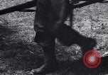 Standbild Jungle warfare Training Canungra Australien, 1943, aus Sekunde 55 historischem Filmmaterial Videoclip 65675038654