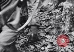 Standbild Jungle warfare Training Canungra Australien, 1943, aus Sekunde 56 historischem Filmmaterial Videoclip 65675038654
