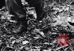 Standbild Jungle warfare Training Canungra Australien, 1943, aus Sekunde 57 historischem Filmmaterial Videoclip 65675038654