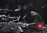 Standbild Jungle warfare Training Canungra Australien, 1943, aus Sekunde 58 historischem Filmmaterial Videoclip 65675038654