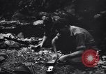 Standbild Jungle warfare Training Canungra Australien, 1943, aus Sekunde 61 historischem Filmmaterial Videoclip 65675038654
