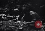 Standbild Jungle warfare Training Canungra Australien, 1943, aus Sekunde 62 historischem Filmmaterial Videoclip 65675038654