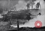Immagine di Soldati australiani Canungra Australia, 1943, secondo 32 filmato di repertorio 65675038656