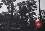 Immagine di Soldati australiani Canungra Australia, 1943, secondo 53 filmato di repertorio 65675038656