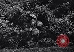 Immagine di Soldati australiani Canungra Australia, 1943, secondo 8 filmato di repertorio 65675038657