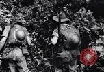 Immagine di Soldati australiani Canungra Australia, 1943, secondo 19 filmato di repertorio 65675038657