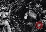 Immagine di Soldati australiani Canungra Australia, 1943, secondo 21 filmato di repertorio 65675038657