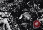 Immagine di Soldati australiani Canungra Australia, 1943, secondo 23 filmato di repertorio 65675038657
