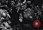 Immagine di Soldati australiani Canungra Australia, 1943, secondo 30 filmato di repertorio 65675038657