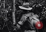 Immagine di Soldati australiani Canungra Australia, 1943, secondo 41 filmato di repertorio 65675038657