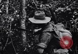 Immagine di Soldati australiani Canungra Australia, 1943, secondo 42 filmato di repertorio 65675038657