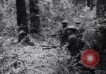 Immagine di Soldati australiani Canungra Australia, 1943, secondo 58 filmato di repertorio 65675038657