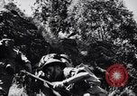 Image des soldats australiens Canungra Australie, 1943, de la seconde 33 séquences d'archives historiques vidéo 65675038658