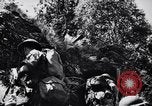 Image des soldats australiens Canungra Australie, 1943, de la seconde 35 séquences d'archives historiques vidéo 65675038658