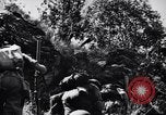 Image des soldats australiens Canungra Australie, 1943, de la seconde 36 séquences d'archives historiques vidéo 65675038658