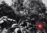 Image des soldats australiens Canungra Australie, 1943, de la seconde 37 séquences d'archives historiques vidéo 65675038658
