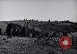 Image des soldats australiens Canungra Australie, 1943, de la seconde 51 séquences d'archives historiques vidéo 65675038658