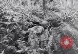 Standbild amerikanische Soldaten Panama, 1944, aus Sekunde 29 historischem Filmmaterial Videoclip 65675038659