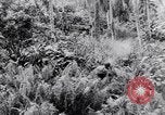 Standbild amerikanische Soldaten Panama, 1944, aus Sekunde 31 historischem Filmmaterial Videoclip 65675038659