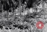 Standbild amerikanische Soldaten Panama, 1944, aus Sekunde 39 historischem Filmmaterial Videoclip 65675038659