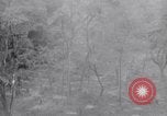 Immagine di Soldati americani Panama, 1944, secondo 40 filmato di repertorio 65675038660