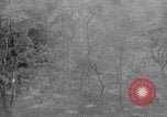 Immagine di Soldati americani Panama, 1944, secondo 41 filmato di repertorio 65675038660