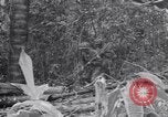 Immagine di Soldati americani Panama, 1944, secondo 55 filmato di repertorio 65675038660